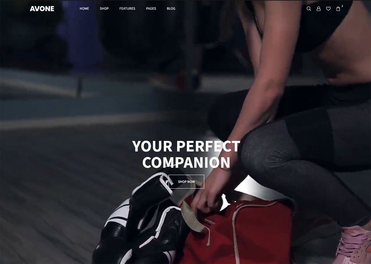 Premium Shopify Theme - Instagram Shop