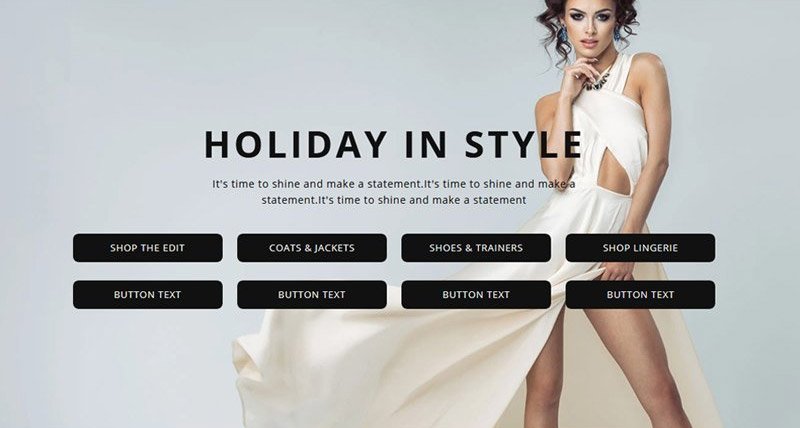 Premium Shopify Theme - Hero Banner(CTA)