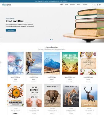Premiun Shopify Theme for High Conversion