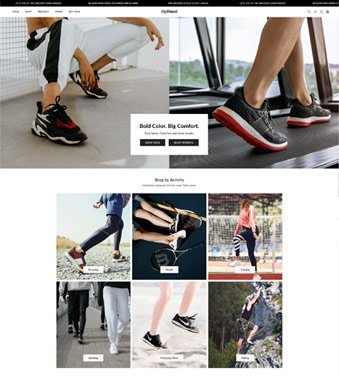 Premiun Shopify Theme for High Conversion