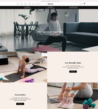 Premiun Shopify Theme for High Conversion