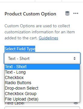 How to Add Custom Product Options in Shopify