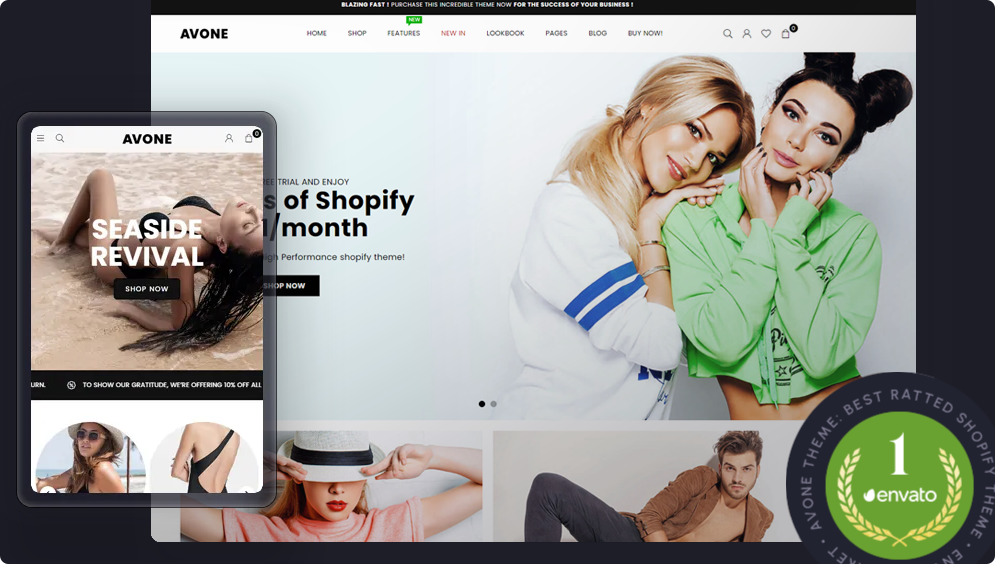 Choose theme for your store