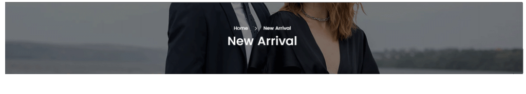 Collection page banner